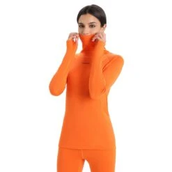 Icebreaker W MERINO LS ROLL NECK Damen - Funktionsshirt -Frilufts T-Shirts Geschaft 5637954526 c merino ls roll neck icebreaker 24