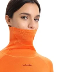 Icebreaker W MERINO LS ROLL NECK Damen - Funktionsshirt -Frilufts T-Shirts Geschaft 5637954526 e merino ls roll neck icebreaker 24